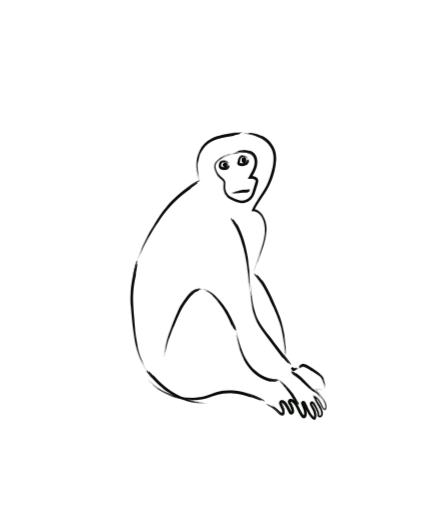53751029_390044778217294_2398119887647014912_n