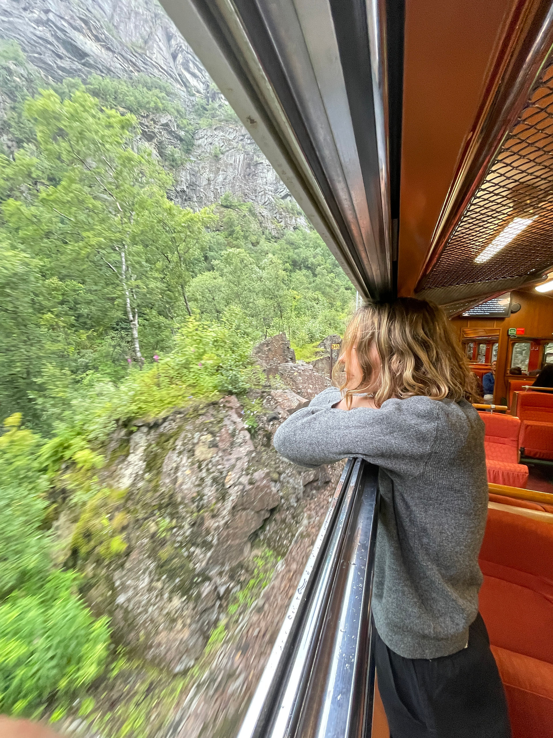 A girl with black pants and a grey sweater, leaning on the window watching the views outside