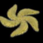 JDT61_P04_Pawelec_E.jpg