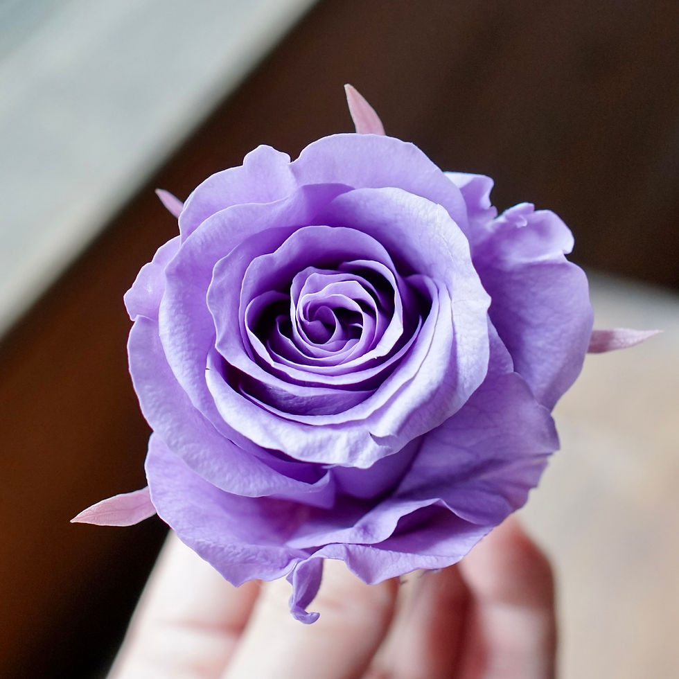 Thumbnail: Preserved Flower Décor + Bouquet (Petite - Round bouquet wrapping)