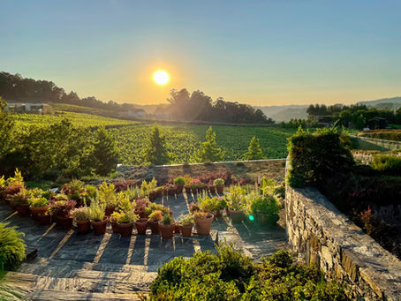 Exploring Vinho Verde - 4 Things You Need to Know