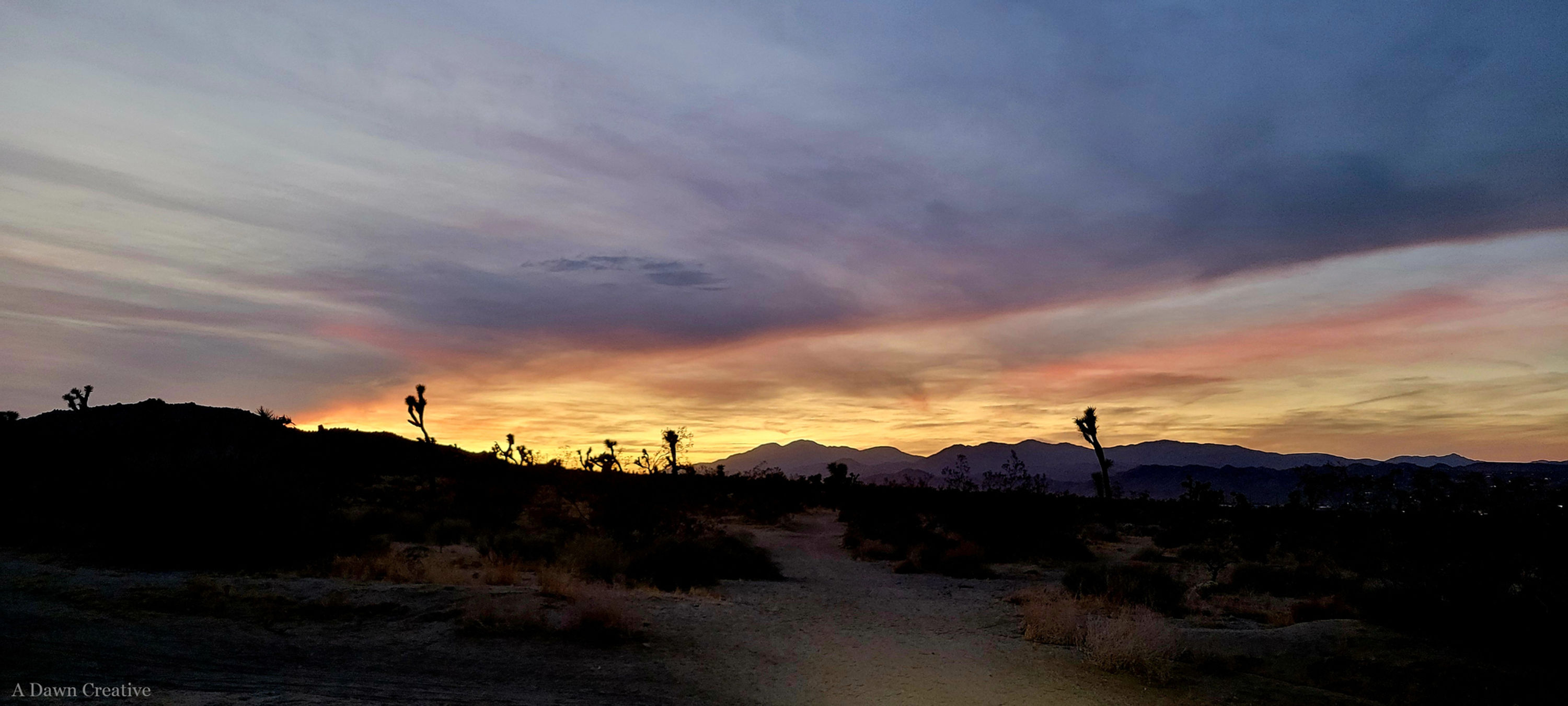 Where the Path Begins