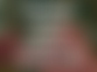 Stop Writing Your Grad School Personal Statement Like a College Essay