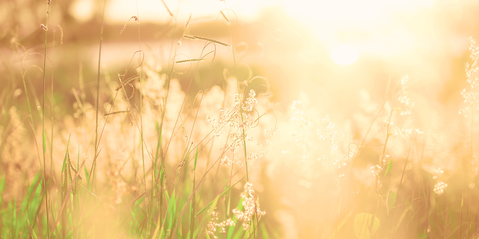 Untitled design (17).png