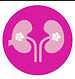 logo_h.jpg