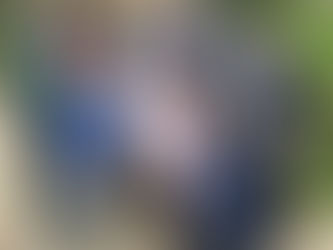 July 2017 Newsletter