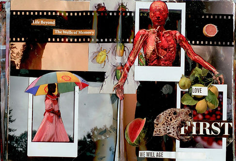 visual arts-first last-2126271.jpeg