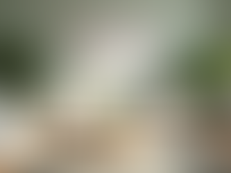 Top Deep Cleaning Tips for South Florida Homes