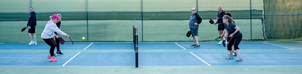 Pickleball Court