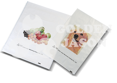 FLEXOGRAPHIC REEL TO REEL PRINTING MACHINE