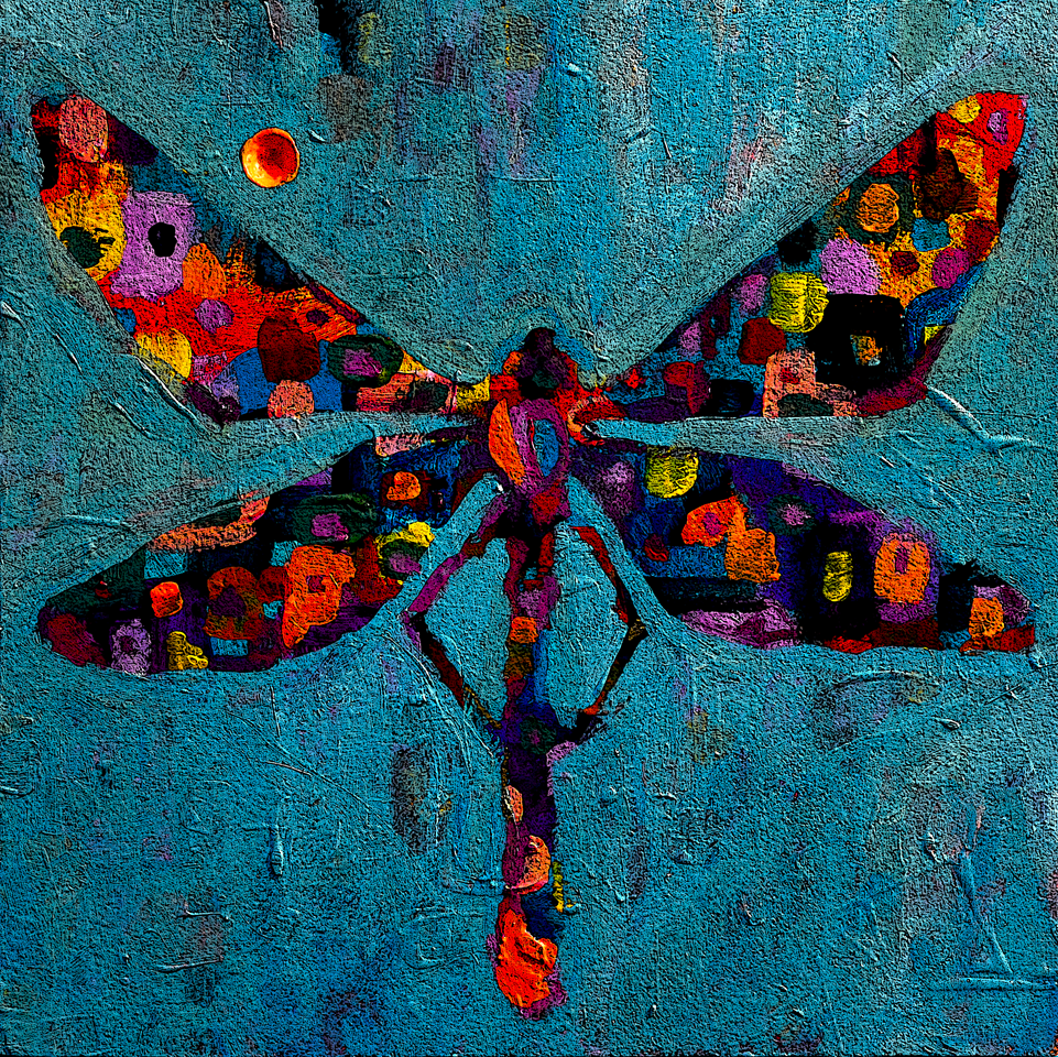 Dragonfly Sun