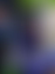 Concert The Show / 07 2022