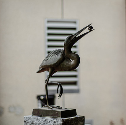 _DSC6176.jpeg