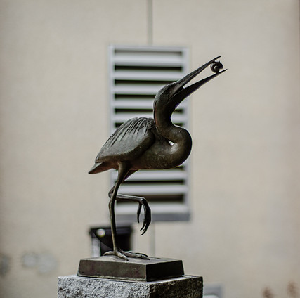 _DSC6176.jpeg