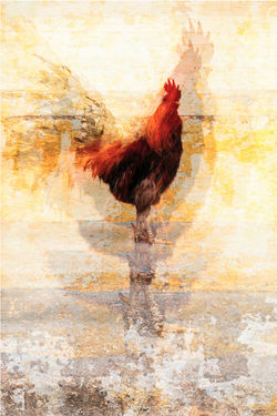 APC_2414-DeNoiseAI-low-light_edited