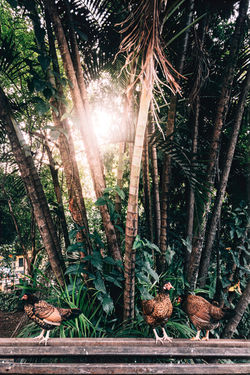 APC_5434-hdr-DeNoiseAI-low-light_edited