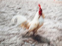 WP_20160903_11_35_05_Raw__highres_edited_edited