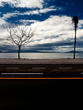 concreto natureza floripa_0012856cópia-Recuperado.jpg