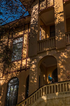 The House of the Peacock #03_edited.jpg