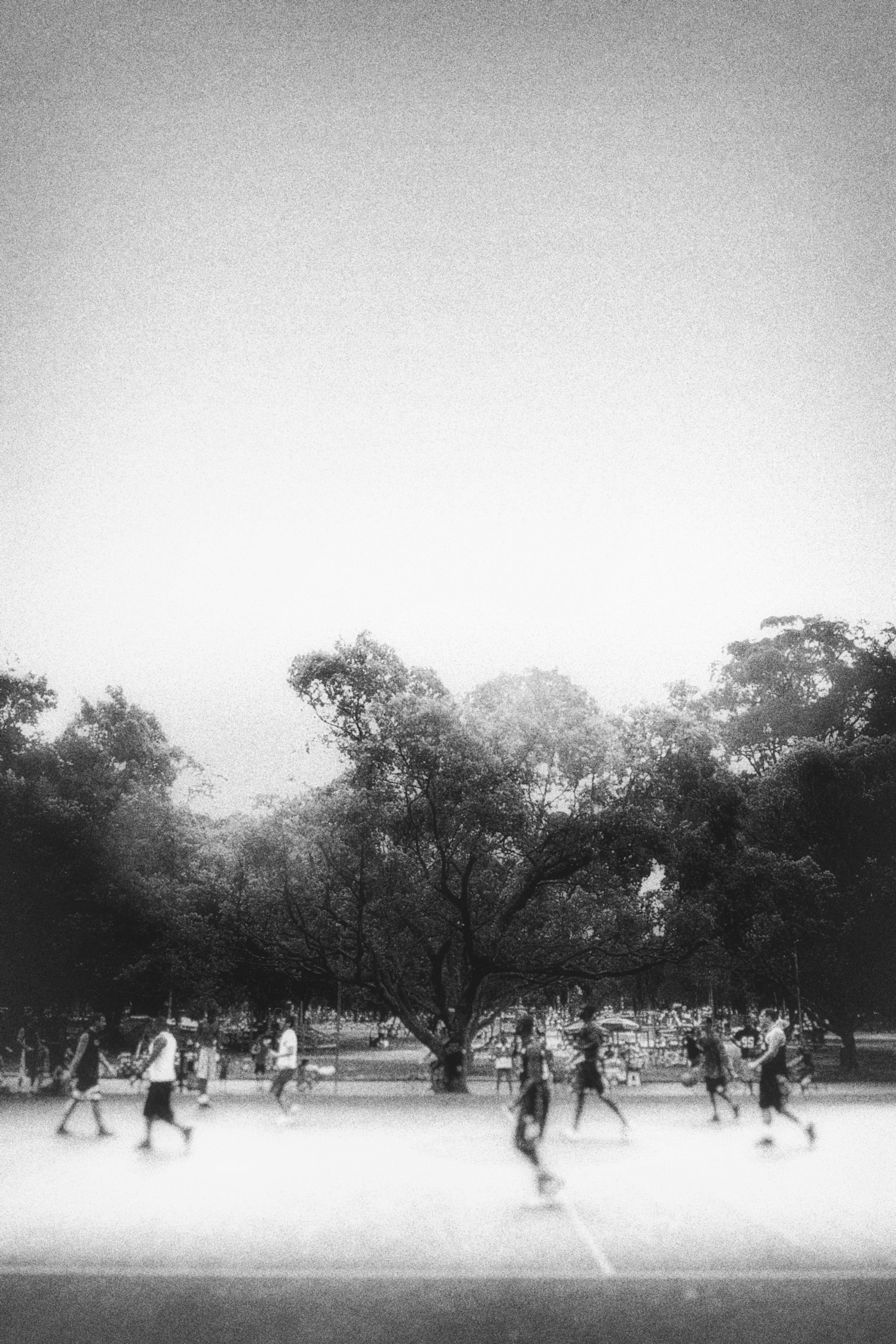 Basketball #09