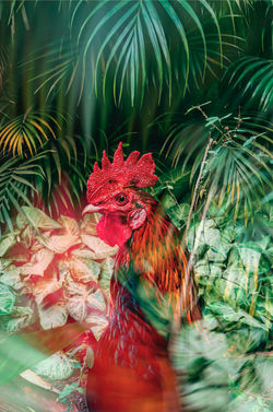 APC_5392-hdr-DeNoiseAI-low-light_edited