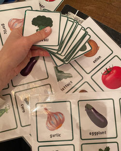 Homemade "Go Fish" cards