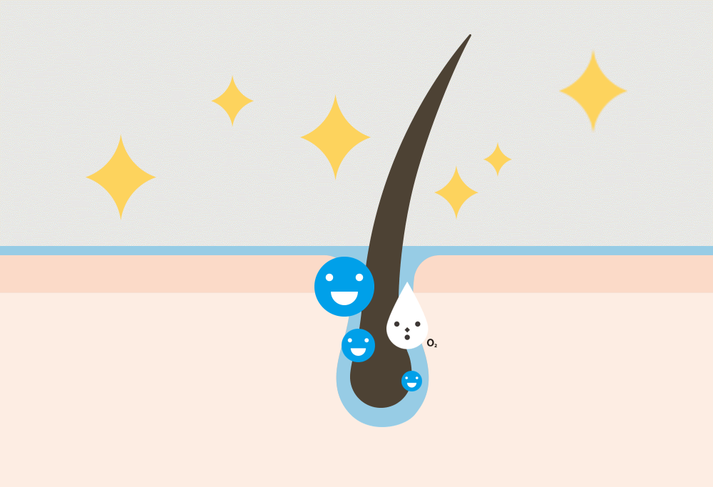 1_샴푸_16.gif