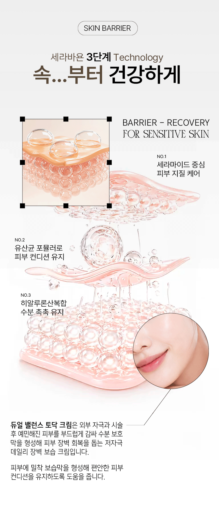 07_피부층.gif