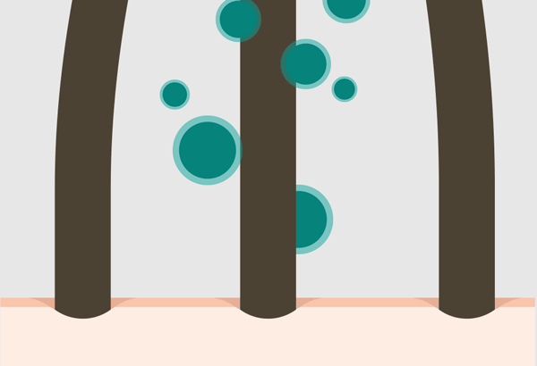 1_샴푸_26.gif