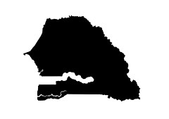 par lot à l'export vers le Sénégal