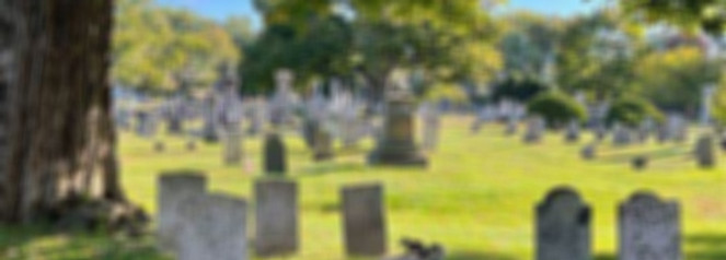 Website 11_edited.jpg
