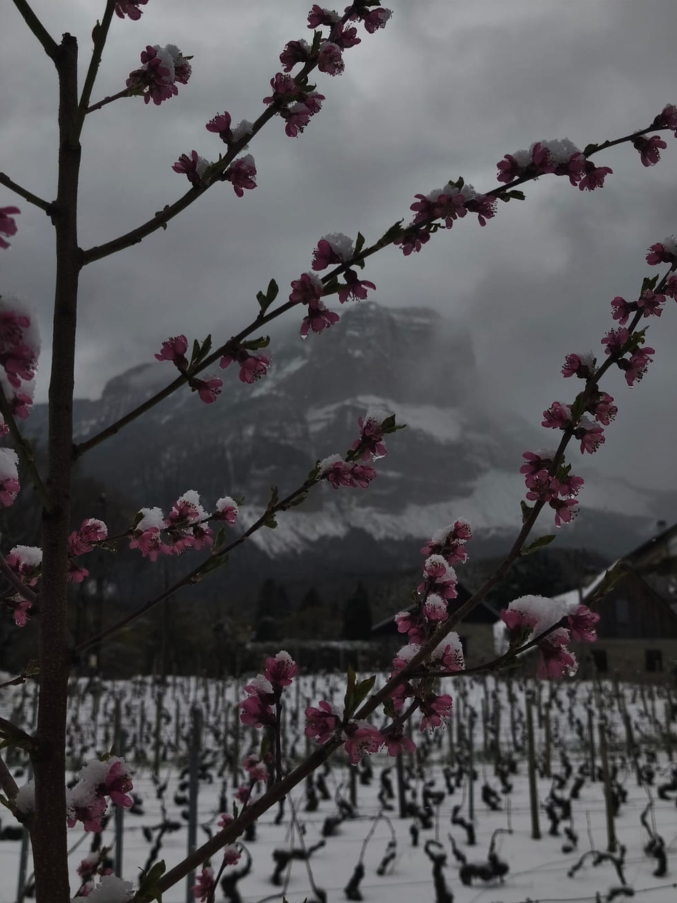 La gazette des spores mars 2026