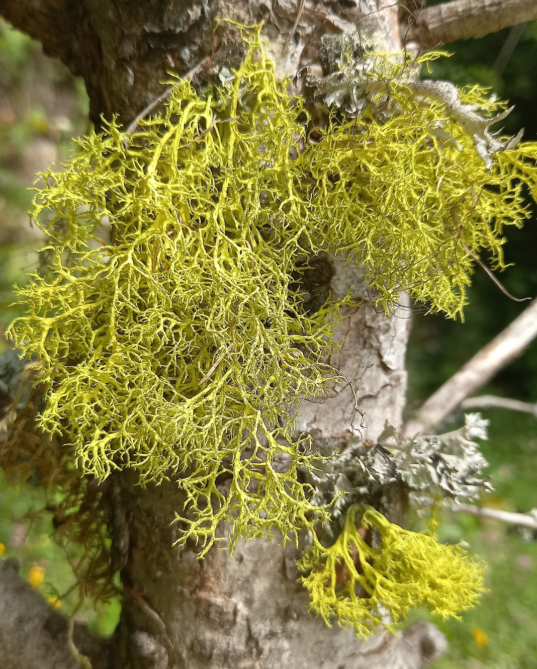 ACCUEIL | Jardin Conservatoire