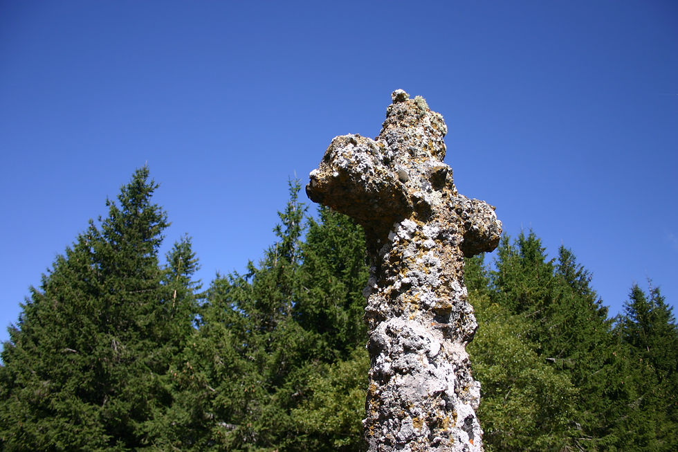 Découverte de la flore et des lichens au Mezenc