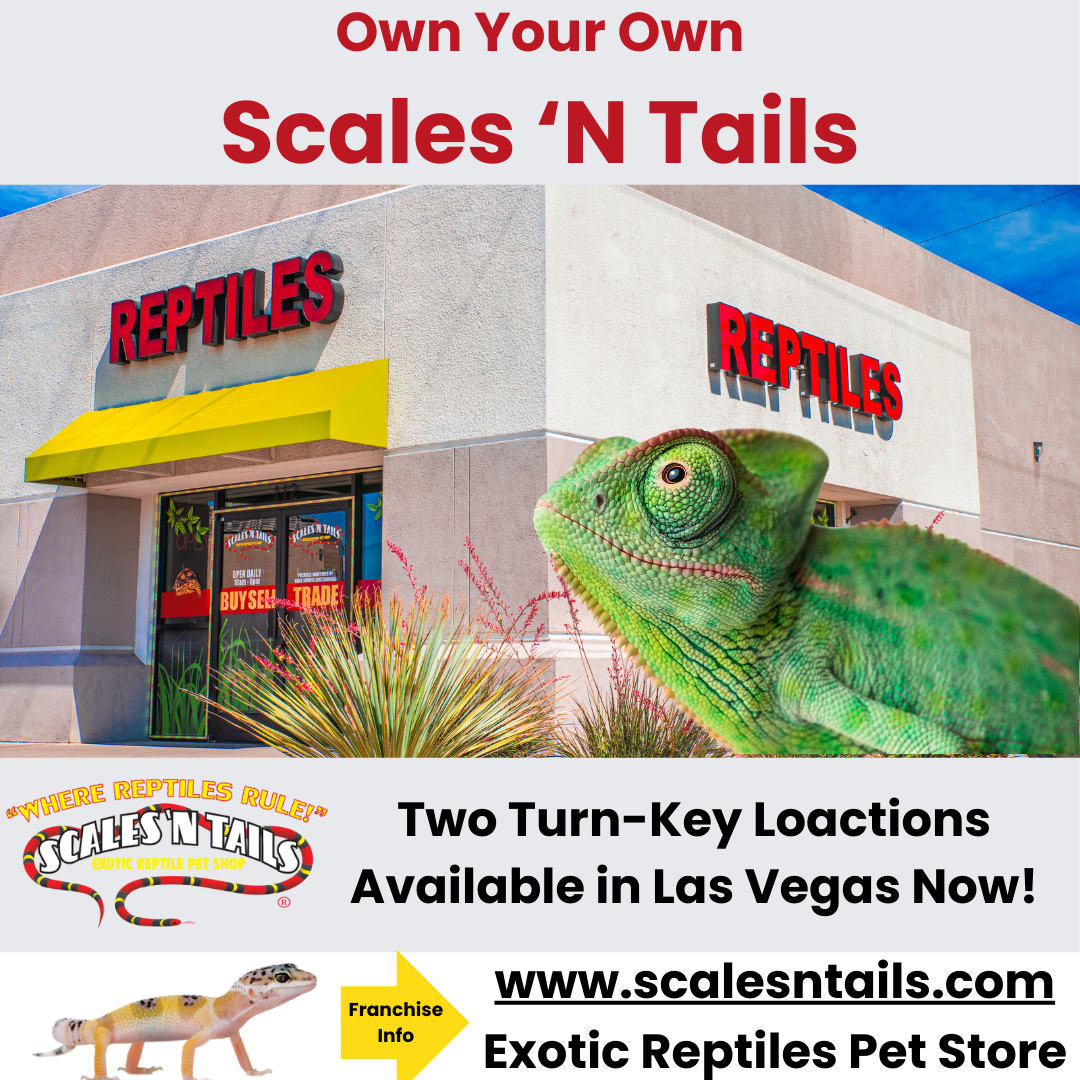 Scales N Tails Colorado Springs