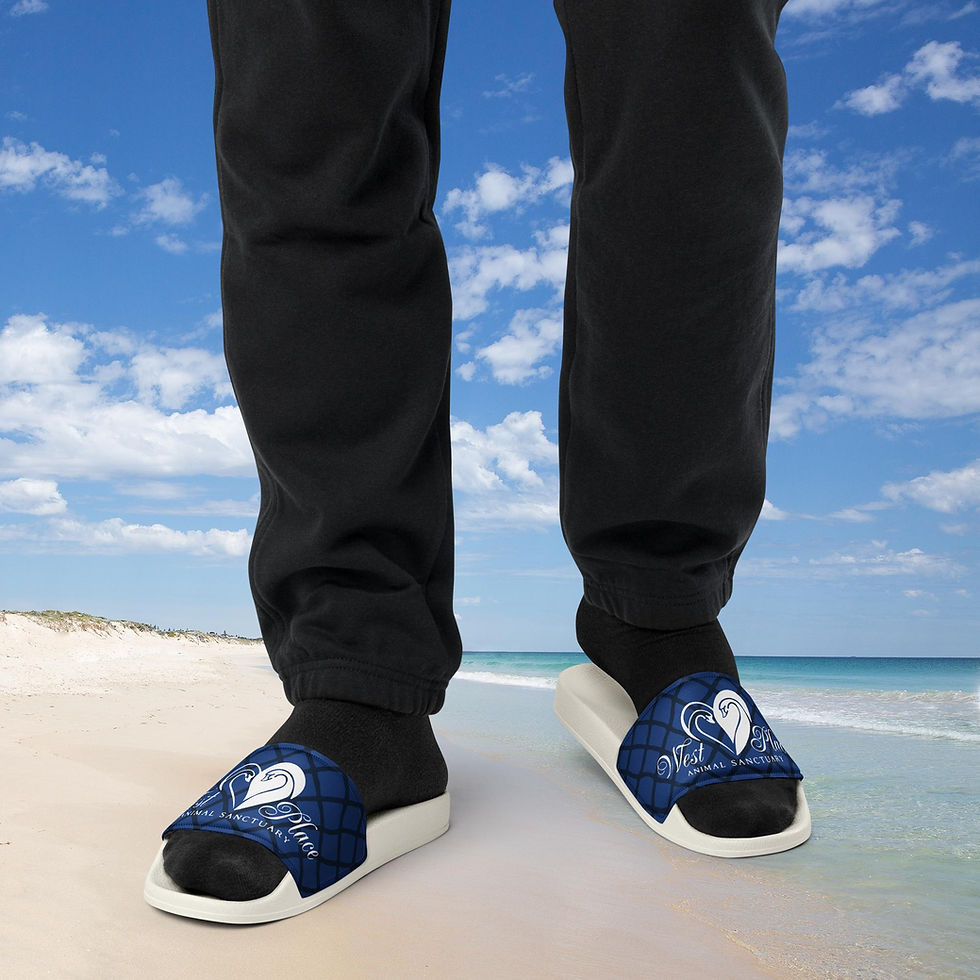 Thumbnail: Men’s Slides West Place Blue
