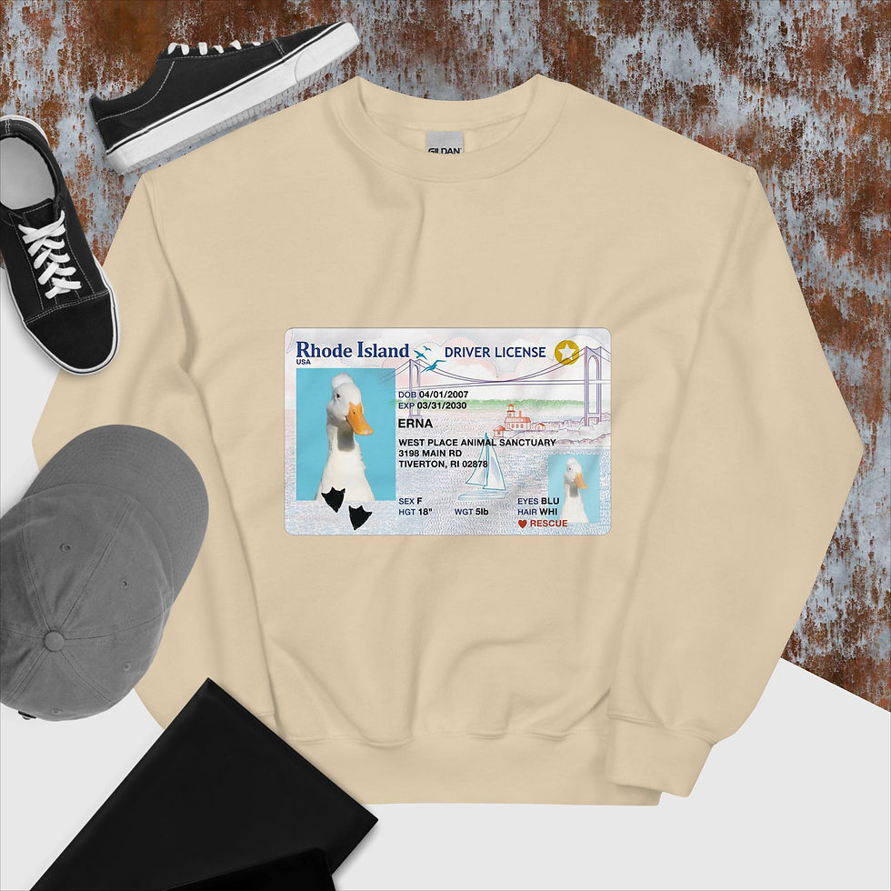 Thumbnail: Unisex Sweatshirt Erna