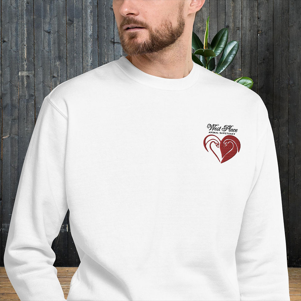 Thumbnail: Unisex Embroidered Premium Sweatshirt