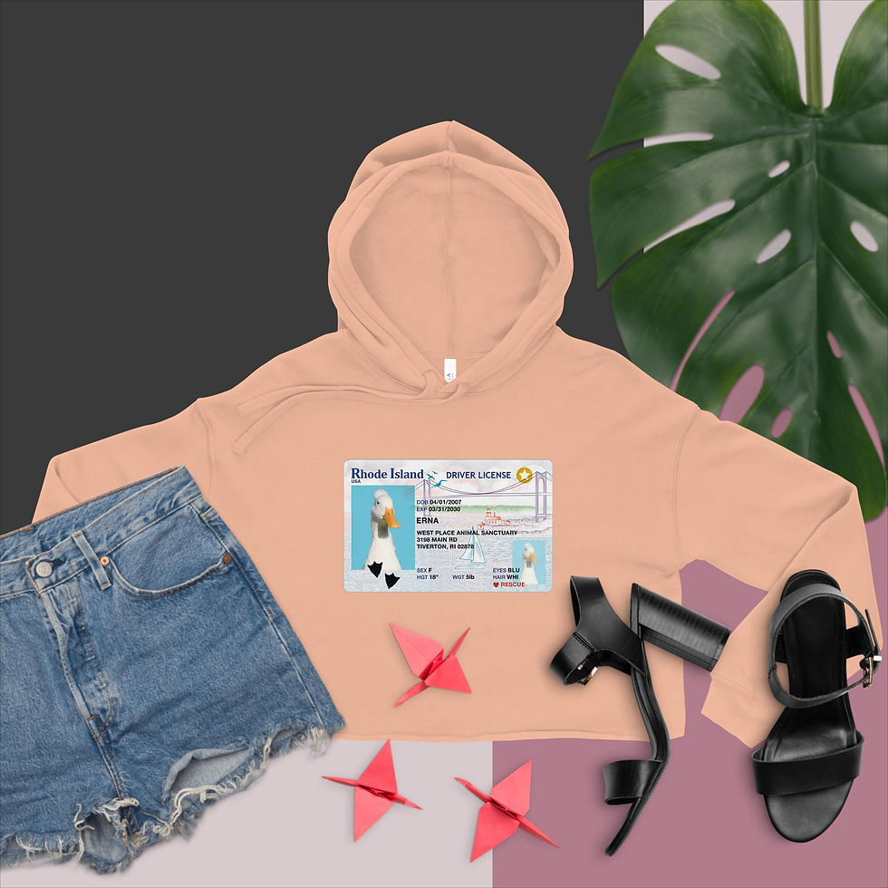 Thumbnail: Women's Crop Hoodie Erna