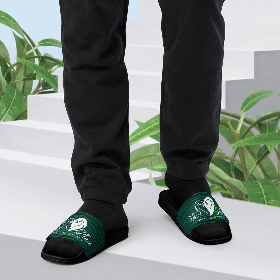 Thumbnail: Men’s Slides West Place Green