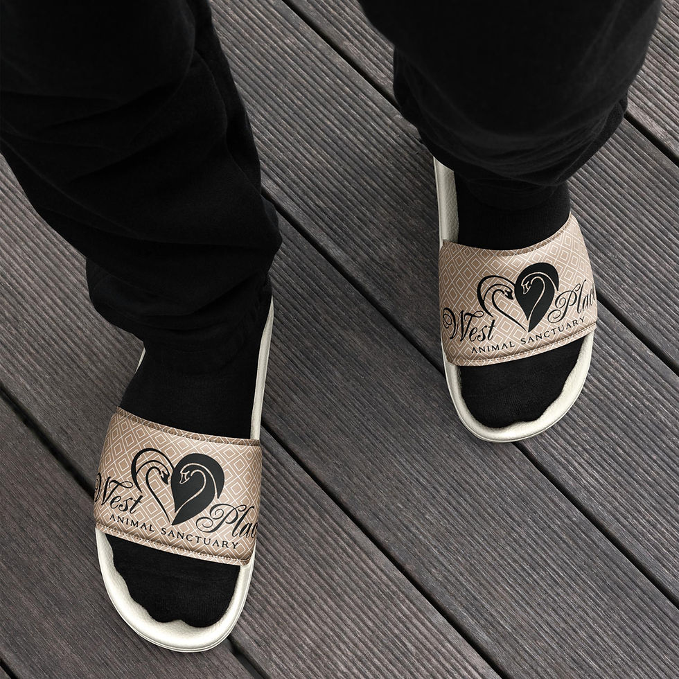 Thumbnail: Men’s Slides West Place Tan