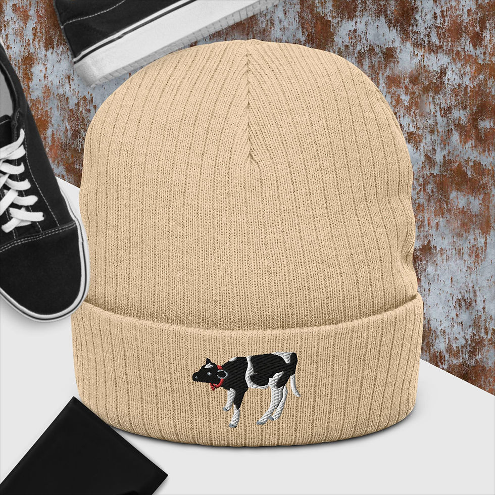 Thumbnail: Embroidered Ribbed Knit Beanie Jensen
