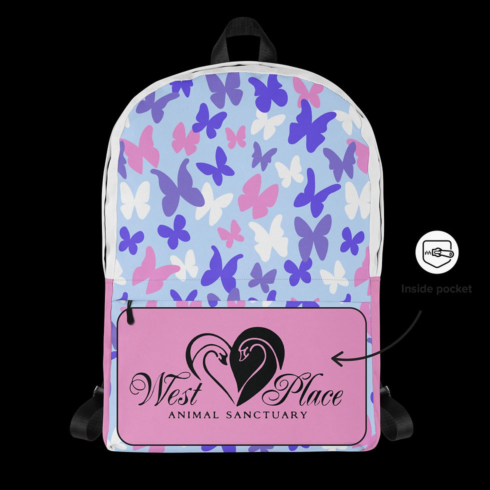Thumbnail: Blue Butterflies Backpack