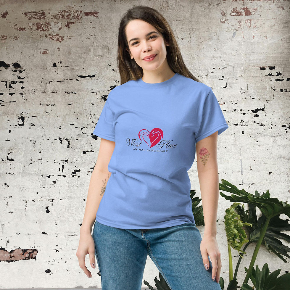 Thumbnail: Women's Classic Red Logo Tee