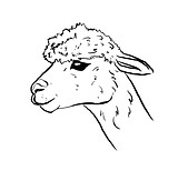 Bobbert Logo.jpg