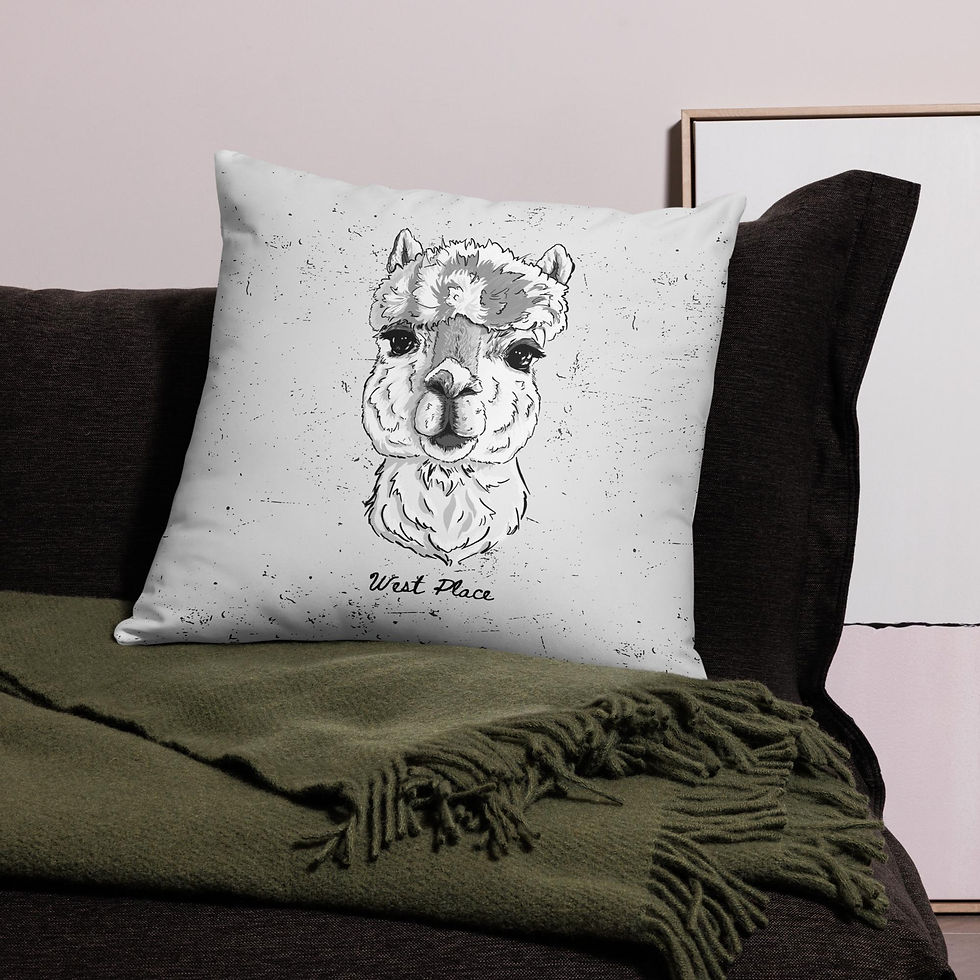Thumbnail: Pillow Case Bobbert
