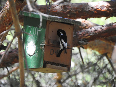 DSCN5972.JPG