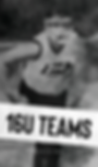 Click to View - 16U ISA Travel Softball Teams