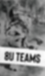 Click to View - 8U Travel Teams