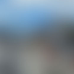 24/7 Stress Free-Accessible Transportation to Madison Square Garden and NYC Concert Venues | WAV Ride